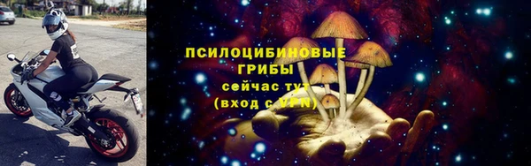 молекула духа Алзамай