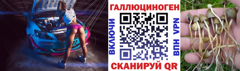 MEGA зеркало  Каневская  Галлюциногенные грибы ЛСД 